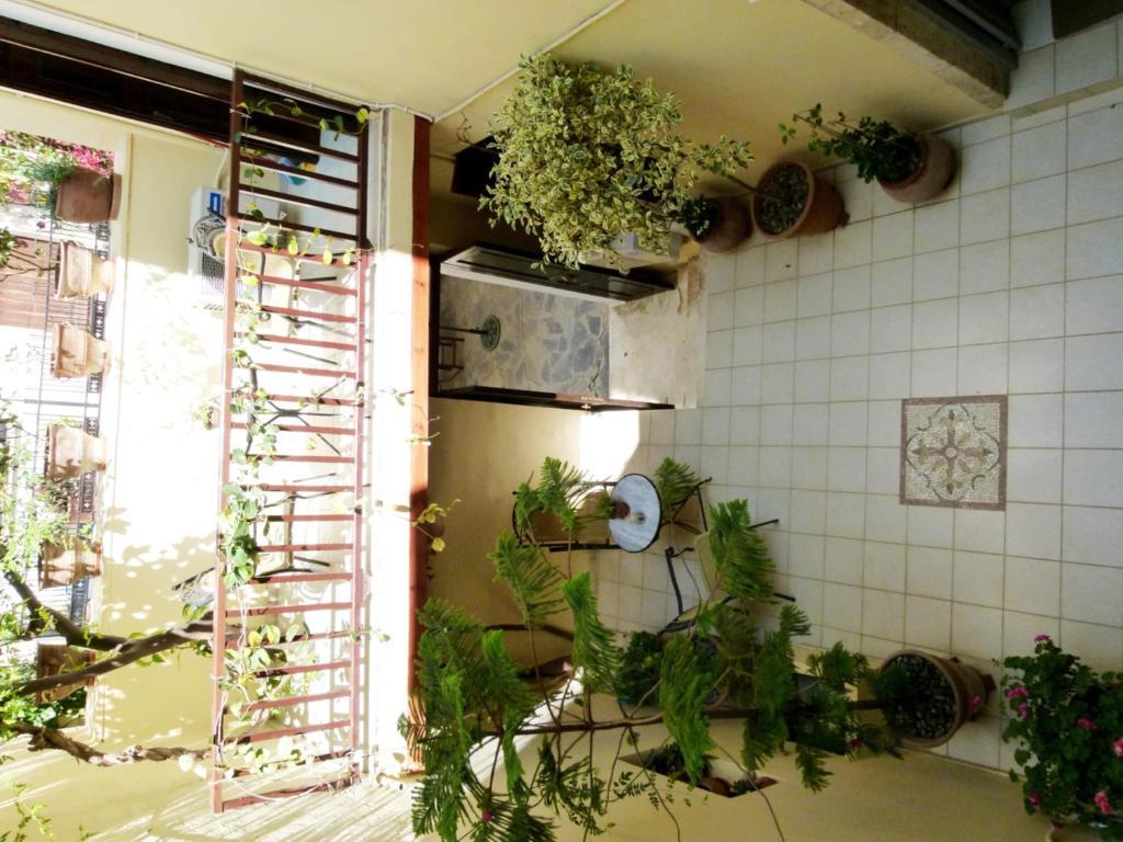 Madonna Studios Chania  Luaran gambar